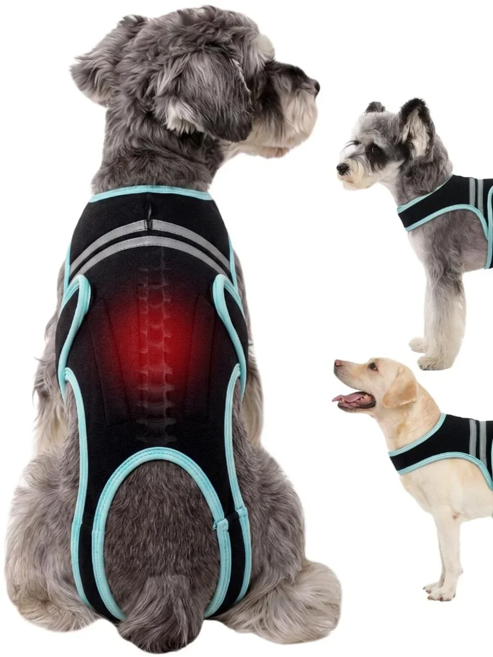 Dog Back Brace Black Medium N3014